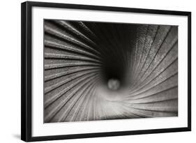 Inside a Howitzer-Tammy Putman-Framed Photographic Print