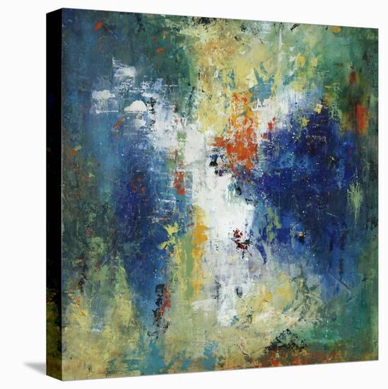 Inside and Out-Joshua Schicker-Stretched Canvas