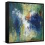 Inside and Out-Joshua Schicker-Framed Stretched Canvas