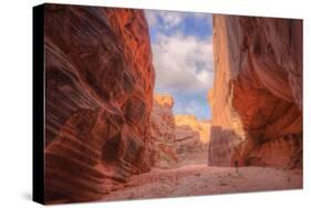 Inside Buckskin Gulch, Southern Utah-Vincent James-Stretched Canvas