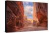 Inside Buckskin Gulch, Southern Utah-Vincent James-Stretched Canvas