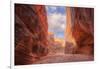 Inside Buckskin Gulch, Southern Utah-Vincent James-Framed Photographic Print