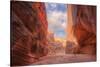 Inside Buckskin Gulch, Southern Utah-Vincent James-Stretched Canvas