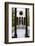 Inside Franciscan Monastery-Museum-Matthew Williams-Ellis-Framed Photographic Print