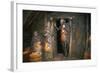 Inside House of Ancient Viking Village-null-Framed Photographic Print