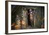 Inside House of Ancient Viking Village-null-Framed Photographic Print