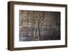 Inside Karnak Temple, Luxor, Thebes, Egypt, North Africa-David Pickford-Framed Premium Photographic Print