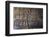 Inside Karnak Temple, Luxor, Thebes, Egypt, North Africa-David Pickford-Framed Premium Photographic Print