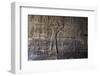 Inside Karnak Temple, Luxor, Thebes, Egypt, North Africa-David Pickford-Framed Premium Photographic Print