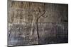 Inside Karnak Temple, Luxor, Thebes, Egypt, North Africa-David Pickford-Mounted Premium Photographic Print