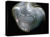 Inside of a pearl oyster-Werner Forman-Stretched Canvas