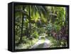 Inside of Parque Tayrona, Playa De Los Angeles and the Adjoining Rain Forest, Taganga, Colombia-Micah Wright-Framed Stretched Canvas