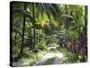 Inside of Parque Tayrona, Playa De Los Angeles and the Adjoining Rain Forest, Taganga, Colombia-Micah Wright-Stretched Canvas