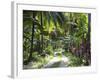 Inside of Parque Tayrona, Playa De Los Angeles and the Adjoining Rain Forest, Taganga, Colombia-Micah Wright-Framed Photographic Print