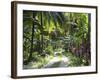 Inside of Parque Tayrona, Playa De Los Angeles and the Adjoining Rain Forest, Taganga, Colombia-Micah Wright-Framed Photographic Print