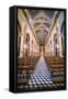 Inside Salta Cathedral, Salta, Salta Province, North Argentina, Argentina, South America-Matthew Williams-Ellis-Framed Stretched Canvas