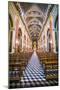 Inside Salta Cathedral, Salta, Salta Province, North Argentina, Argentina, South America-Matthew Williams-Ellis-Mounted Photographic Print