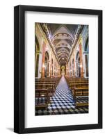 Inside Salta Cathedral, Salta, Salta Province, North Argentina, Argentina, South America-Matthew Williams-Ellis-Framed Photographic Print