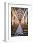 Inside Salta Cathedral, Salta, Salta Province, North Argentina, Argentina, South America-Matthew Williams-Ellis-Framed Photographic Print