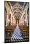 Inside Salta Cathedral, Salta, Salta Province, North Argentina, Argentina, South America-Matthew Williams-Ellis-Mounted Photographic Print