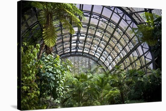 Inside the Botanical Building in Balboa Park in San Diego, California.  inside are over 350 Species-pdb1-Stretched Canvas