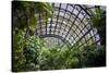 Inside the Botanical Building in Balboa Park in San Diego, California.  inside are over 350 Species-pdb1-Stretched Canvas