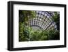 Inside the Botanical Building in Balboa Park in San Diego, California.  inside are over 350 Species-pdb1-Framed Photographic Print