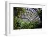 Inside the Botanical Building in Balboa Park in San Diego, California.  inside are over 350 Species-pdb1-Framed Photographic Print