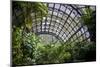Inside the Botanical Building in Balboa Park in San Diego, California.  inside are over 350 Species-pdb1-Mounted Photographic Print
