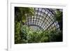 Inside the Botanical Building in Balboa Park in San Diego, California.  inside are over 350 Species-pdb1-Framed Photographic Print