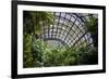 Inside the Botanical Building in Balboa Park in San Diego, California.  inside are over 350 Species-pdb1-Framed Photographic Print