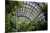 Inside the Botanical Building in Balboa Park in San Diego, California.  inside are over 350 Species-pdb1-Mounted Photographic Print