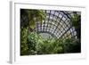 Inside the Botanical Building in Balboa Park in San Diego, California.  inside are over 350 Species-pdb1-Framed Photographic Print