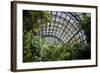 Inside the Botanical Building in Balboa Park in San Diego, California.  inside are over 350 Species-pdb1-Framed Photographic Print