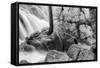 Inside the Cascades at Yosemite, California-Vincent James-Framed Stretched Canvas