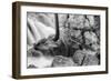 Inside the Cascades at Yosemite, California-Vincent James-Framed Photographic Print