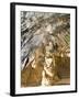 Inside the Caves D'Arta, Llevant, Mallorca, Balearic Islands, Spain, Europe-Andrew Stewart-Framed Photographic Print