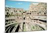 Inside the Colosseum, Rome, Italy-null-Mounted Photographic Print