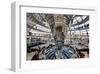 Inside the Dome of the Reichstag Building, Berlin, Germany-null-Framed Art Print