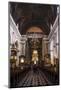 Inside the Franciscan Church of the Annunciation, Ljubljana, Slovenia, Europe-Matthew Williams-Ellis-Mounted Photographic Print