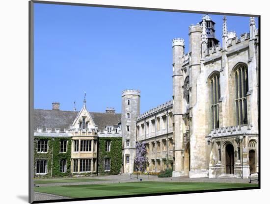 Inside the Great Court, Trinity College, Cambridge, Cambridgeshire-Peter Thompson-Mounted Photographic Print