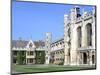 Inside the Great Court, Trinity College, Cambridge, Cambridgeshire-Peter Thompson-Mounted Photographic Print