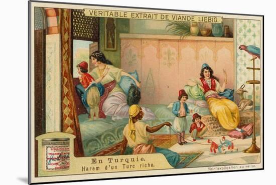 Inside the Harem of a Rich Turk-null-Mounted Giclee Print