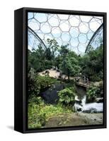 Inside the Humid Tropics Biome, Eden Project, Cornwall-Peter Thompson-Framed Stretched Canvas