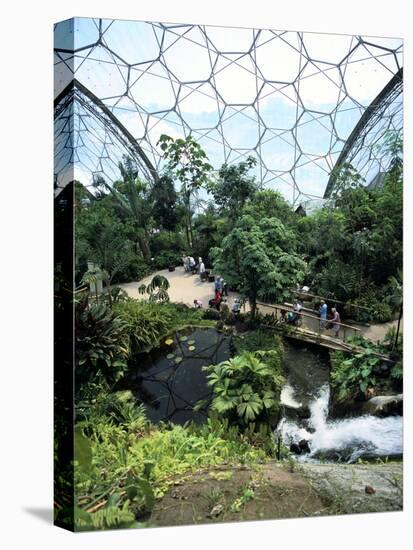 Inside the Humid Tropics Biome, Eden Project, Cornwall-Peter Thompson-Stretched Canvas