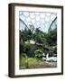 Inside the Humid Tropics Biome, Eden Project, Cornwall-Peter Thompson-Framed Photographic Print
