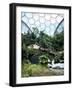 Inside the Humid Tropics Biome, Eden Project, Cornwall-Peter Thompson-Framed Photographic Print
