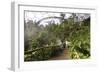 Inside the Humid Tropics Biome, Eden Project, Near St Austell, Cornwall-Peter Thompson-Framed Photographic Print