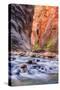 Inside The Narrows, Virgin River, Utah-Vincent James-Stretched Canvas