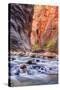 Inside The Narrows, Virgin River, Utah-Vincent James-Stretched Canvas